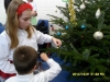 sam_4978