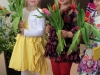 mamindiena_sauleszakena_11_5_1_31