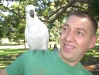 au_sydney_birds.jpg