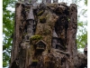 11-dsc_8050