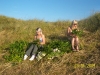 picture-047