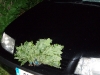 dscf3407