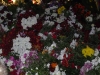 p1000368.jpg