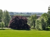dikis3_panorama.jpg