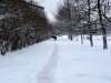 p1000619.jpg