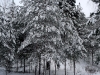 p1000631.jpg